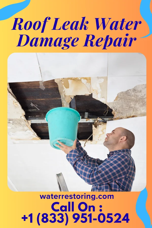 Roof Leak Water Damage Repair in Bushnell, NE